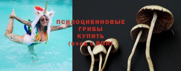 2c-b Алзамай