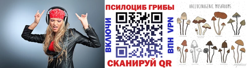 где найти наркотики  Ардон  Псилоцибиновые грибы MAGIC MUSHROOMS 