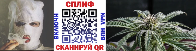 Конопля THC 21%  где можно купить   Ардон 